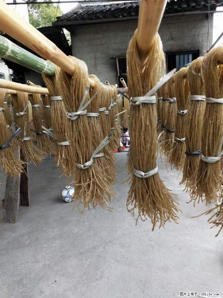 【灌阳正宗红薯粉】美女家里自己做的,干净卫生,假一赔十,价格合理,抢购电话:13737312895 - 美食天地 - 郑州生活社区 - 郑州28生活网 zz.28life.com