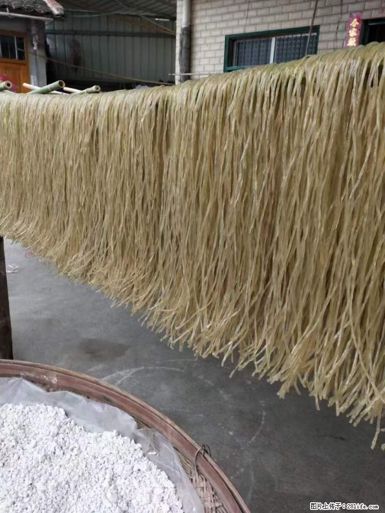 【灌阳正宗红薯粉】美女家里自己做的,干净卫生,假一赔十,价格合理,抢购电话:13737312895 - 美食天地 - 郑州生活社区 - 郑州28生活网 zz.28life.com