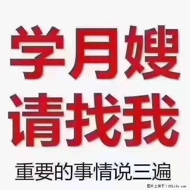 为什么要学习月嫂,育婴师? - 其他广告 - 广告专区 - 郑州分类信息 - 郑州28生活网 zz.28life.com