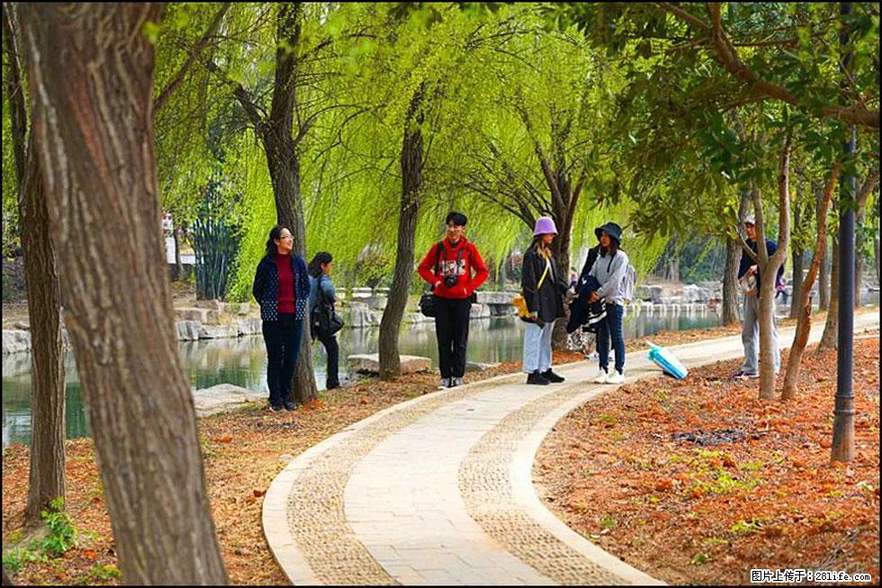 【春天,广西桂林灌阳县向您发出邀请!】江口老街又逢春 - 游山玩水 - 郑州生活社区 - 郑州28生活网 zz.28life.com