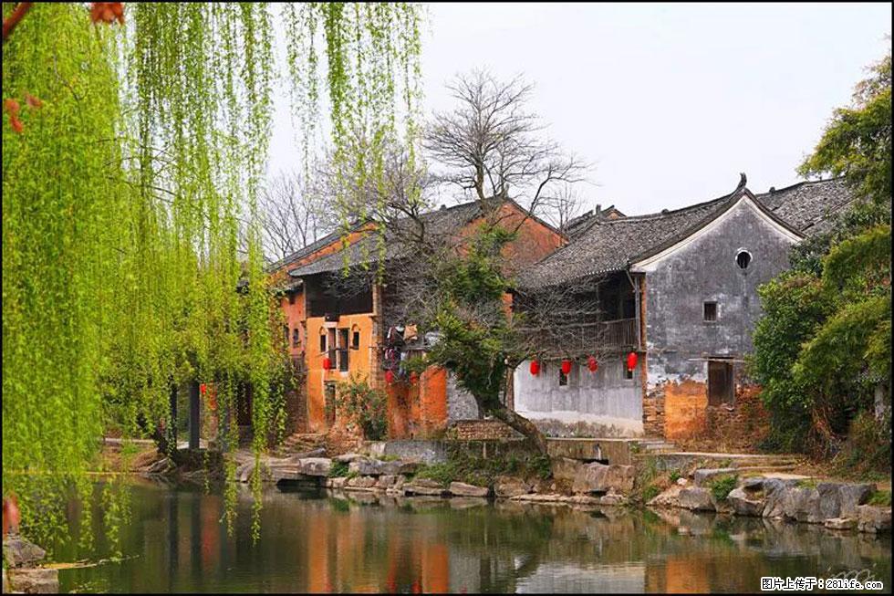 【春天,广西桂林灌阳县向您发出邀请!】江口老街又逢春 - 游山玩水 - 郑州生活社区 - 郑州28生活网 zz.28life.com