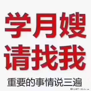 为什么要学习月嫂,育婴师? - 郑州28生活网 zz.28life.com
