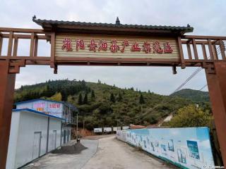 【灌阳县油茶产业示范区】一个有着充实的精神生活的人,对待身外之物自会有一种淡泊的态度 - 郑州28生活网 zz.28life.com
