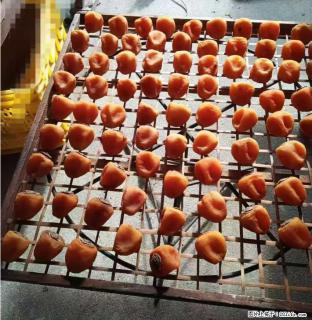 广西桂林平乐桥亭【柿饼之乡】2025年纯手工制作、无任何添加剂的第一批柿饼准备上市了，欢迎联系订购！ - 郑州28生活网 zz.28life.com