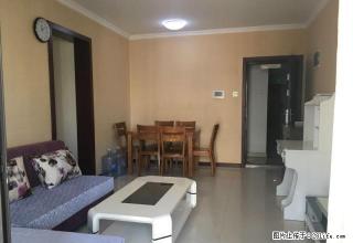 东风路文化路百脑汇附近 数码公寓 精装两室 真实房源 有钥匙 - 郑州28生活网 zz.28life.com