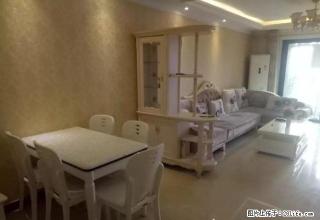 临近6小 性价比超高 泰成悦府 豪装三房 家具家电齐全 有 - 郑州28生活网 zz.28life.com