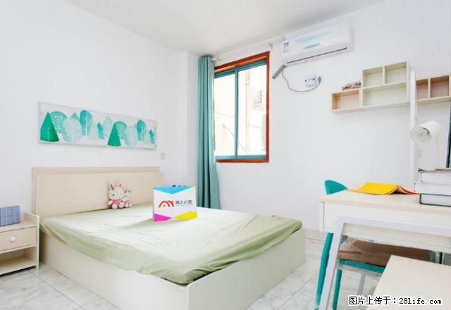 (单间出租)管城区航海路未来路择邻青年,精装修,可月付,拎包入住 - 房屋出租 - 房屋租售 - 郑州分类信息 - 郑州28生活网 zz.28life.com