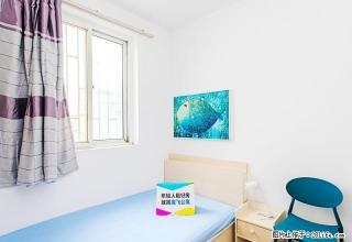 (单间出租)管城区货栈街建业香槟圣园，升龙凤凰城，东建材旁，精装修可月付 - 郑州28生活网 zz.28life.com