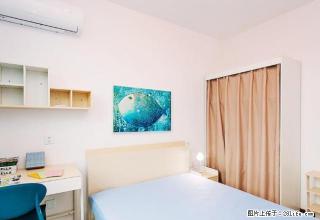 (单间出租)梧桐街可短租 睿智花园无中介费 大学科技园 月付 再送代金券 - 郑州28生活网 zz.28life.com