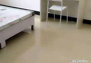 (单间出租)金水 玉凤路 发展国际 楷林国际 1号线地铁口 免费看房 - 郑州28生活网 zz.28life.com