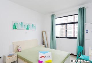 (单间出租)年底让利 免半月房租 长江路长江花园820每月支持月付 - 郑州28生活网 zz.28life.com