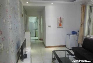 金水区省实验中学附近 文博公寓精装两室一厅 随时看房 - 郑州28生活网 zz.28life.com