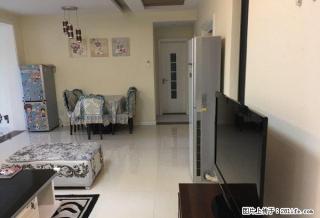 精装三房 初次出租 拎包入住 南北通透 采光好 环境优雅 - 郑州28生活网 zz.28life.com