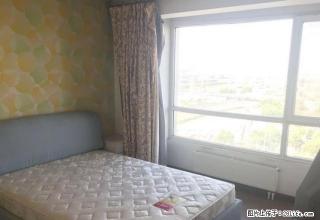 (单间出租)花园路北环 徐寨 茵悦之声 石墙次卧朝南620 可做饭可短租 - 郑州28生活网 zz.28life.com