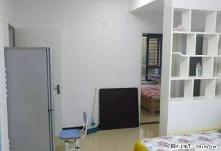 东史马 55平1室1厅 家电齐全 随时看房 随时住 - 郑州28生活网 zz.28life.com