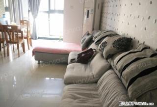 省实验中学旁 陪读好位子 看房方便 精装修 品质小区 - 郑州28生活网 zz.28life.com