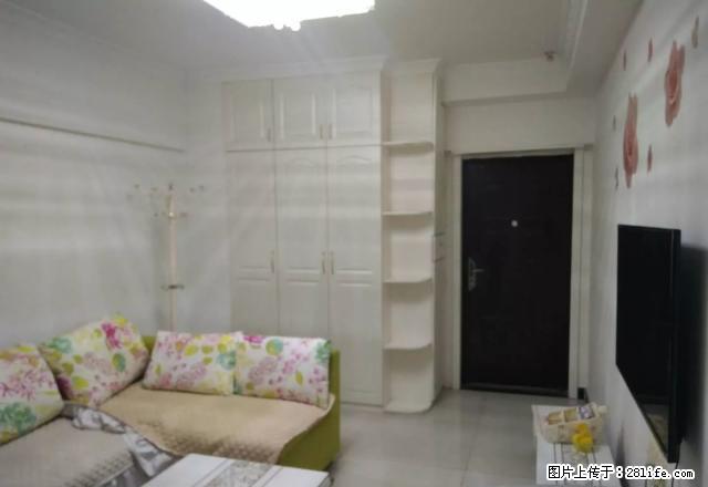鑫苑世家 新出温馨 精装 一室一厅 家具家电齐全 随时看房、 - 房屋出租 - 房屋租售 - 郑州分类信息 - 郑州28生活网 zz.28life.com