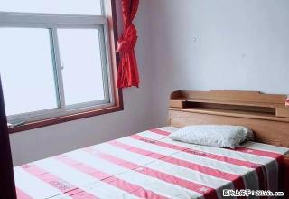 (单间出租)郑汴路玉凤路 环球大厦 永辉超市 三家合租 精装温馨卧室 - 郑州28生活网 zz.28life.com