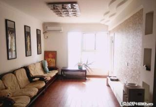 紫荆山路 陇海路 双气精装大三房 看房随时啊 - 郑州28生活网 zz.28life.com