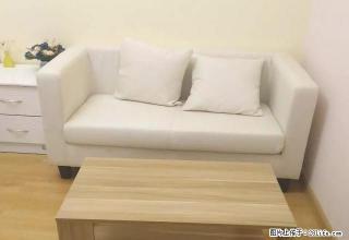 (单间出租)押一付一 鑫苑鑫城 五洲小区 同心苑 财信圣 精品单间出租 - 郑州28生活网 zz.28life.com