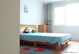 (单间出租)短租 押一付一 姚寨路 红砖路 金城东苑 苏荷中心 双气热水 - 郑州28生活网 zz.28life.com