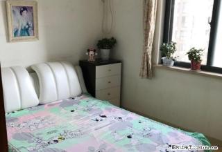 天下城 双气两房 带家具家电 诚意出租 高端且离学校超近 - 郑州28生活网 zz.28life.com