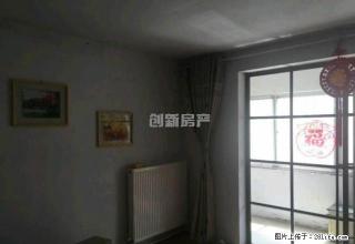 文化路实验中学对面，精装修三室，低楼层一楼双气，商用办公仓储 - 郑州28生活网 zz.28life.com