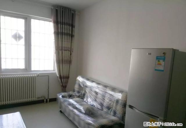 荷园小区，两室一厅家电齐全，楼层好阳光充足，可随时入住 - 房屋出租 - 房屋租售 - 郑州分类信息 - 郑州28生活网 zz.28life.com