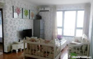 [简约欧式装修] 采光无限好, 不怕近黄昏 遥望大玉 - 郑州28生活网 zz.28life.com