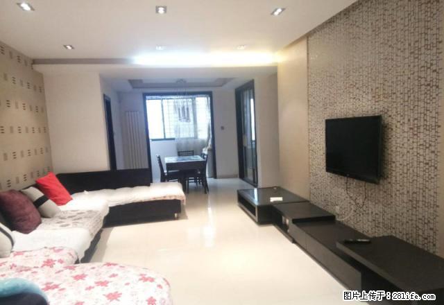 金领时代精装三房 家具家电齐全 临楷林中心 美盛中心 永和伯 - 房屋出租 - 房屋租售 - 郑州分类信息 - 郑州28生活网 zz.28life.com