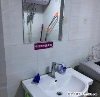 (单间出租)郑汴路青年路绿都广场凤凰城永辉超市环球大厦无中介费 - 郑州28生活网 zz.28life.com