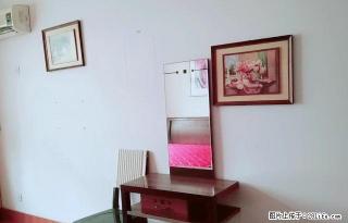 (单间出租)曼哈顿商圈 地铁口 升龙大厦兴业大厦附近金水路未来路精装公寓 - 郑州28生活网 zz.28life.com