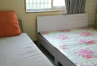 (单间出租)帅租 大上海 丹尼斯大卫城 人民公园豫港大厦 楼下 拎包入住 - 郑州28生活网 zz.28life.com