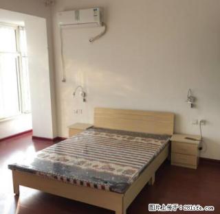 (单间出租)三全路 丰庆路 康居花园 精装一室环境优雅 拎包入住 - 郑州28生活网 zz.28life.com