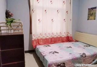 (单间出租)民航路地铁口东区CBD家乐福曼哈顿怡乐商务兴业大厦拎包入住 - 郑州28生活网 zz.28life.com