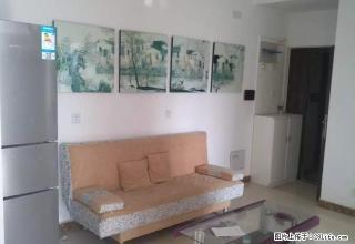 中州大道紫东路七里香堤绿城物业精装全齐拎包入住无中介费 - 郑州28生活网 zz.28life.com