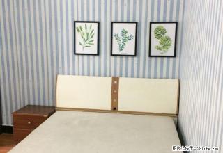 (单间出租)亚太明珠新装清新风主卧朝南带飘窗独立卫生间800起拎包入住 - 郑州28生活网 zz.28life.com