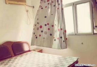 金水路未来路燕黑路燕庄地铁口 精装 可居住 可做员工宿舍 - 郑州28生活网 zz.28life.com