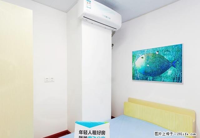 (单间出租)建业魔飞公寓 天旺广场附近 精装次卧朝南 可短租 可月付 - 房屋出租 - 房屋租售 - 郑州分类信息 - 郑州28生活网 zz.28life.com
