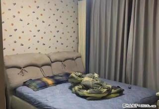 (单间出租)地铁口 紫荆阳光地带 婚房全女生 实拍图片温馨舒适拎包入住 - 郑州28生活网 zz.28life.com