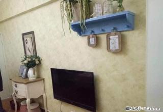 无中介费 无押金月付 天明森林国际公寓 精装修 家具家电齐全 - 郑州28生活网 zz.28life.com