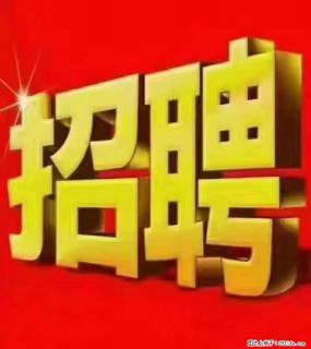 【东莞市威萨电子科技有限公司】公司直招:外贸业务、仓管员、跟单文员、普工 - 郑州28生活网 zz.28life.com