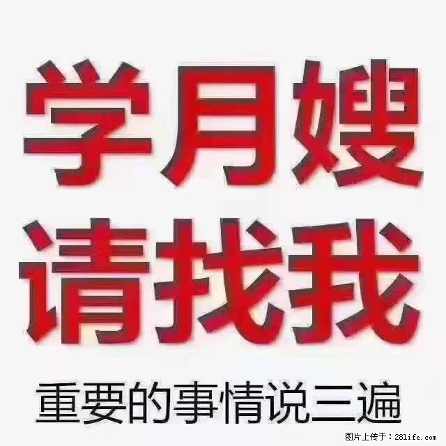 【招聘】月嫂,上海徐汇区 - 职场交流 - 郑州生活社区 - 郑州28生活网 zz.28life.com