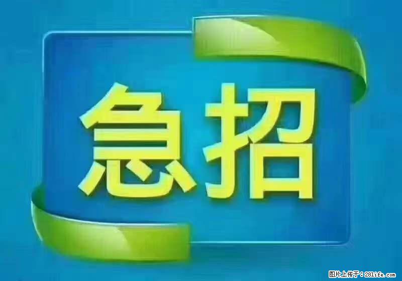 招出纳8000元/月,无证可以,要有相关经验,上海五险一金,包住,包工作餐,做六休一。 - 职场交流 - 郑州生活社区 - 郑州28生活网 zz.28life.com