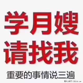 【招聘】月嫂，上海徐汇区 - 郑州28生活网 zz.28life.com