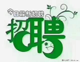 上海青浦区招仓管 - 郑州28生活网 zz.28life.com