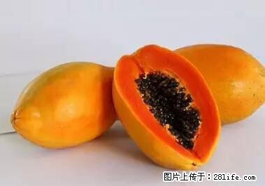 晕车、脚气、牙齿变黄、皮肤粗糙？学会这些三分钟搞定！ - 郑州生活资讯 - 郑州28生活网 zz.28life.com