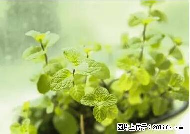 晕车、脚气、牙齿变黄、皮肤粗糙？学会这些三分钟搞定！ - 郑州生活资讯 - 郑州28生活网 zz.28life.com