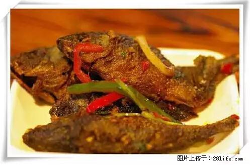 来广西旅游必吃这20道桂菜,不然就白来广西啦! - 郑州生活资讯 - 郑州28生活网 zz.28life.com