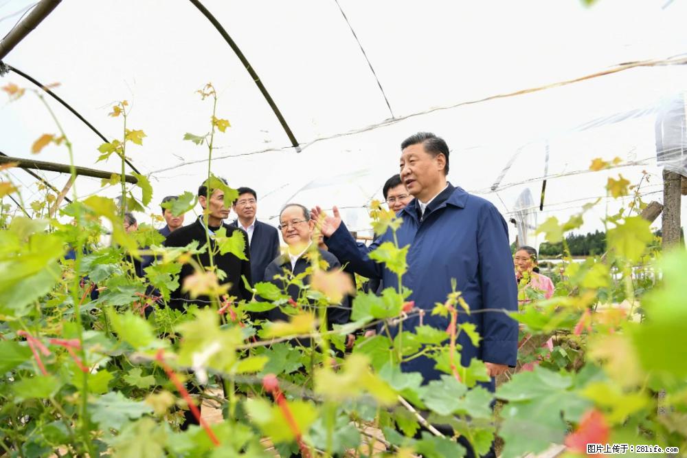 习近平赴广西考察调研 - 郑州生活资讯 - 郑州28生活网 zz.28life.com